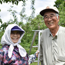 秋元ファーム