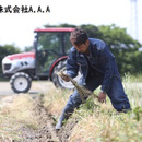 株式会社A.A.A