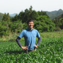 中嶌茶園