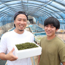 生産者直送 人気no 1 生海ぶどう 茎付き 1kg 沖縄県産 食べチョク 農家 漁師の産直ネット通販 旬の食材を生産者直送 生産者直送 人気no 1 生海ぶどう 茎付き 1kg 沖縄県産 食べチョク 農家 漁師の産直ネット通販 旬の食材を生産者直送