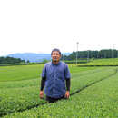 嬉野茶 池田農園