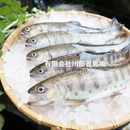 川部養魚場。