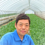 町田野菜園