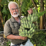 うちなぁ自然栽培ファーマーズ