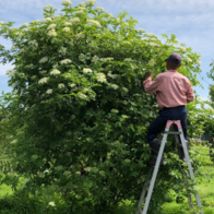 野っ原の自然農園
