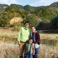 しあわせの樹　あまくさ