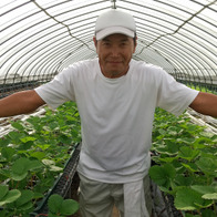 Strawberry farm 木村農園