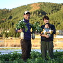 SLOW FARM