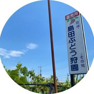 島田ぶどう園