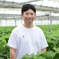 Four Seasons Strawberry