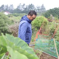 おもしろ野菜研究所