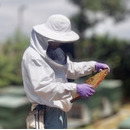 とことん濃さにこだわった蜂蜜。牧之原HONEY(クロガネモチ蜜