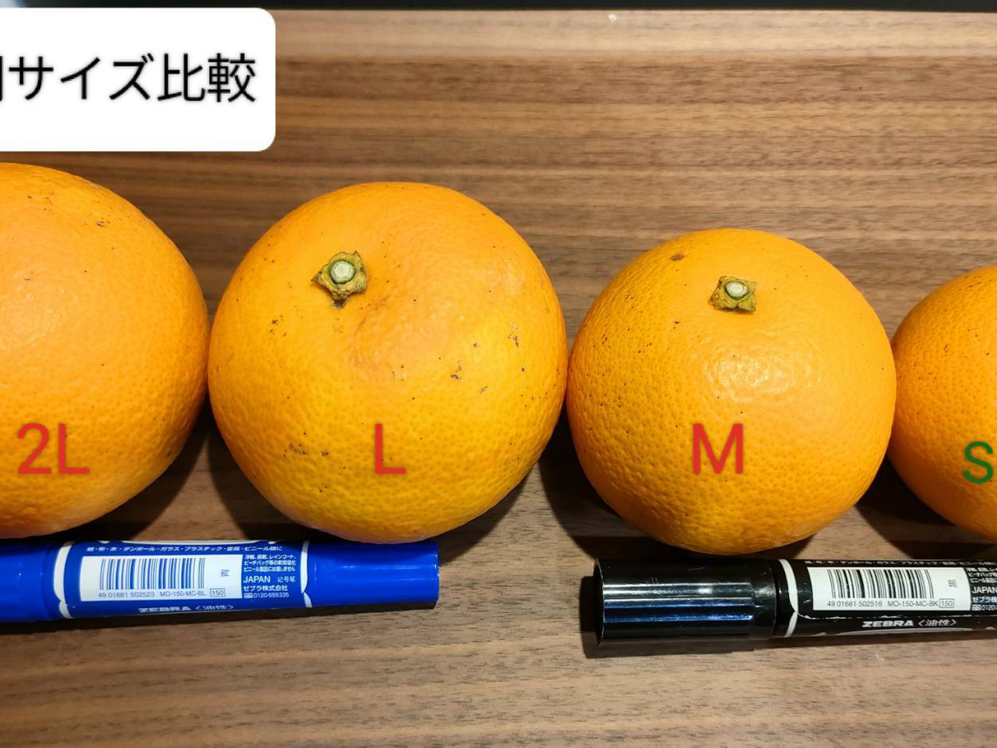 濃厚！八朔だけどあま〜い！おひさま色の紅八朔【ご家庭用/6個