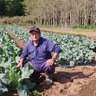 野本農園