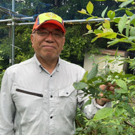 里山栗田ファーム