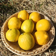 レモン谷ナチュラルファーム