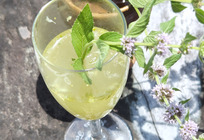 ミント🍀レモネード🍋