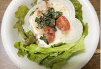 【農家メシ】瑞々しさ爆発！新玉ねぎと豆腐の春色和サラダ