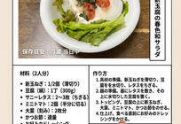 【農家メシ】瑞々しさ爆発！新玉ねぎと豆腐の春色和サラダ