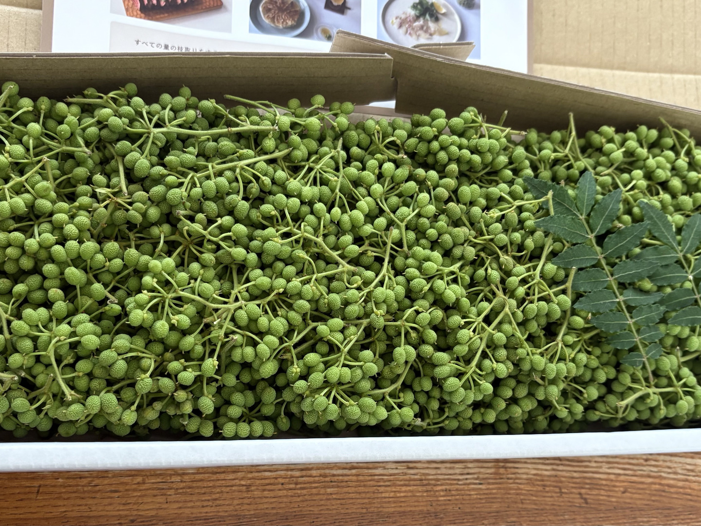 500g【本場有田川の実山椒】ぶどう山椒🌿：和歌山県産の実山椒