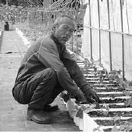 フェルム・ド・ヤマサチ