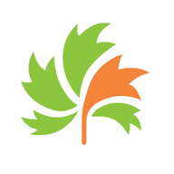 メープルマート