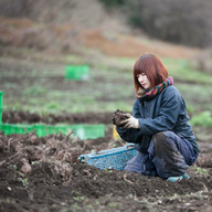 こんにゃく工房迦しょう