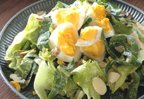 とりそぼろとソフトケールのデリ風サラダ