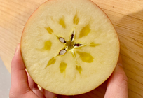 【鮮度を保つ】りんごのおいしい保存方法