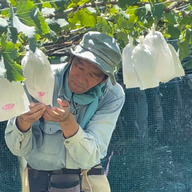 いしだぶどう園