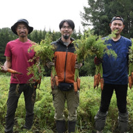 なんごう夏にんじんプロジェクト