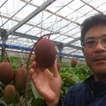 Saku Fruit Orchard