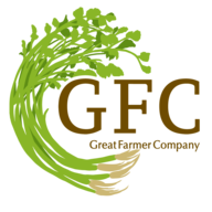 GFC