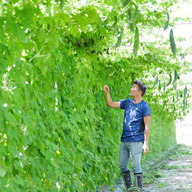 スカイファーム