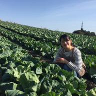 sfarm(エスファーム)