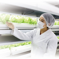 伊東電機丸山ファーム