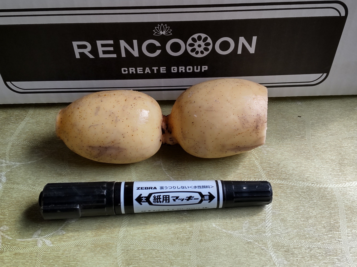 楽天市場】【送料無料】レンコンパウダー HASKO ハスコ 120g ハスコ HASKO レンコンパウダー レンコン粉末 れんこん 蓮根 茨城 茨城産  土浦 土浦産 国産 蓮根パウダー 蓮根粉 レンコンの粉 : PR MARKET PLACE