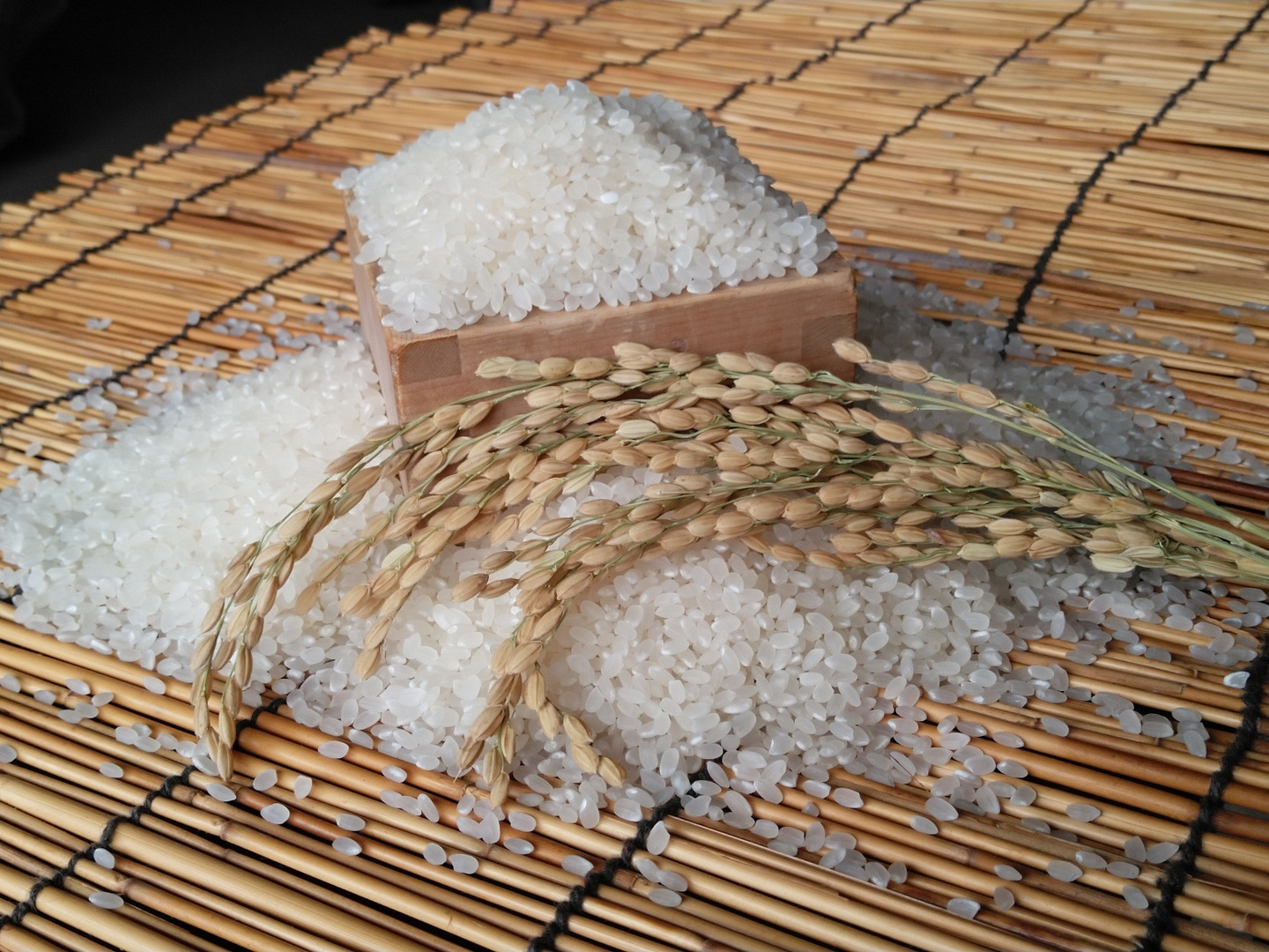 銘柄米 コシヒカリ 100% 白米 5kg 令和7年産：千葉県産のお米｜食べ