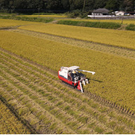 ライスセンターヒジオカ