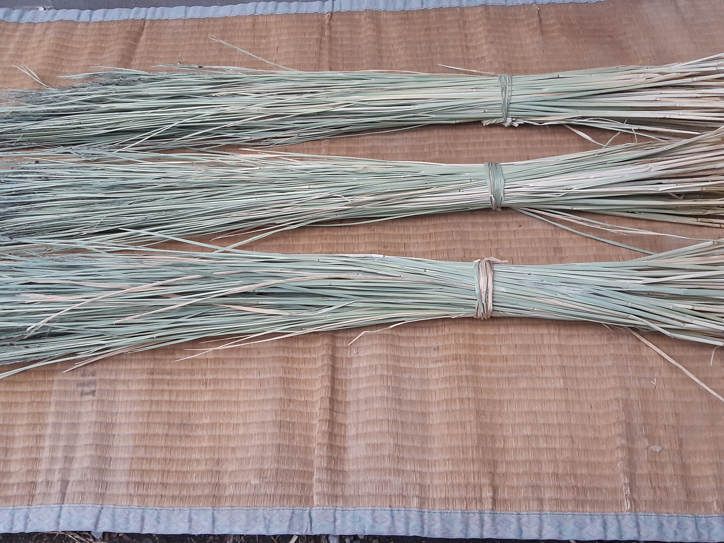 正月飾り、しめ縄に最適！古代米の稲わら5束セット：千葉県産の