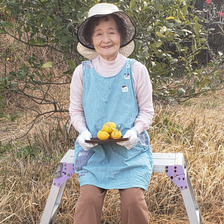 箱入りレモン娘果樹園