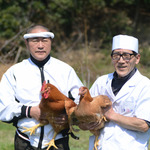 鳥好