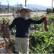 糸島さくら農園