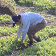 芳井こだわり農園