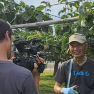 【フルーツ王国山梨】丹澤梨園