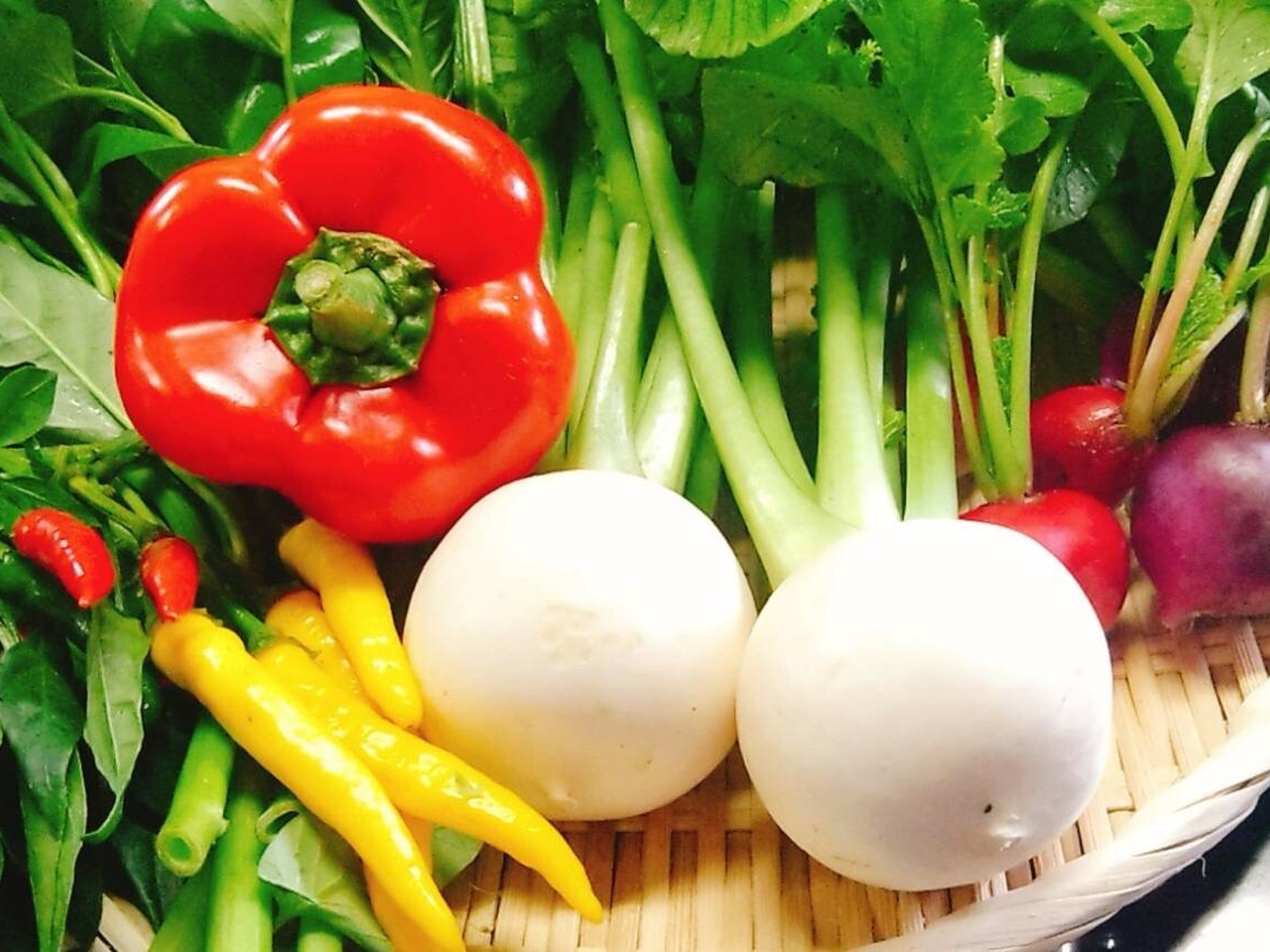 栽培中農薬化学肥料不使用】スタッフ厳選！獲れたて季節のこだわり野菜