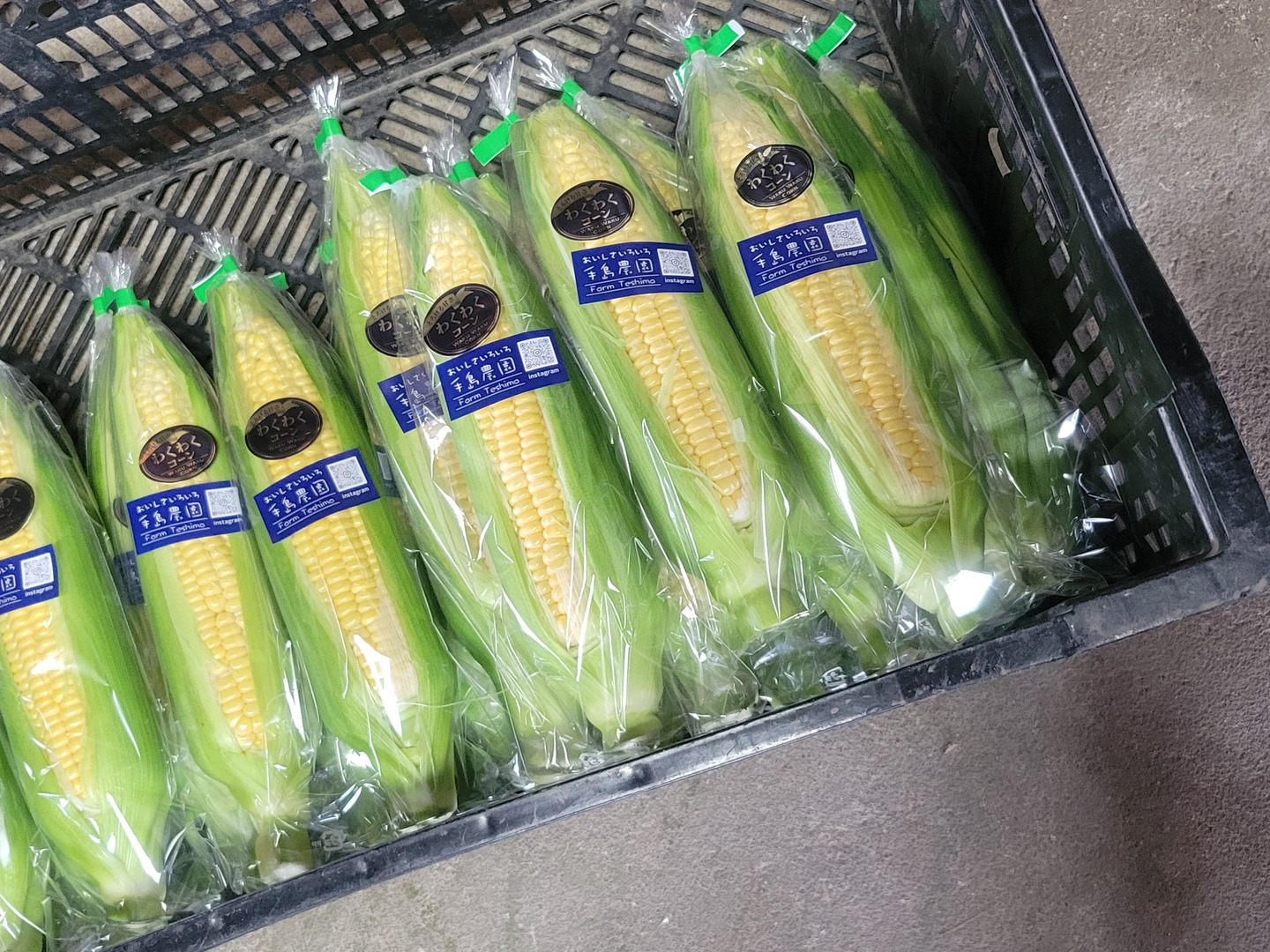 旬の上州野菜 夏！】お試しサイズ（3~5品目）梱包まで丁寧に