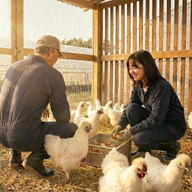 プロプリモウッド