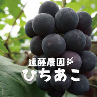 遠藤農園 ひちあこ