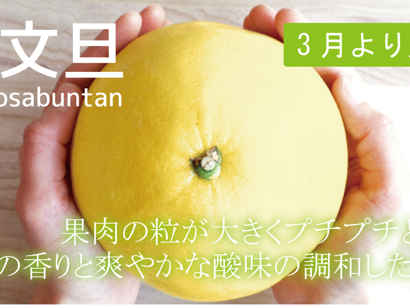 ぶるぅのページ　文旦20kg 楽天市場】文旦 20kg 送料無料の通販